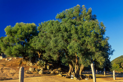 Filitosa