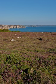 Pointe de Penhir