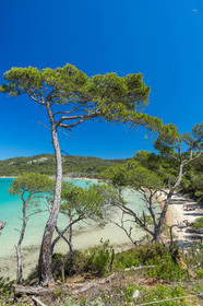 Porquerolles