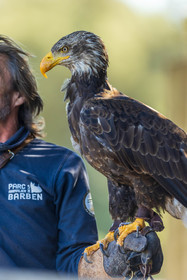 Parc animalier de la Barben