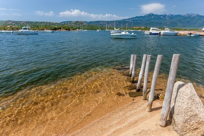 Figari