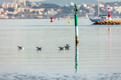 La Seyne-sur-Mer