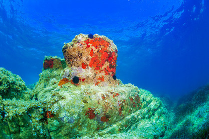 Plongée-sous-marine