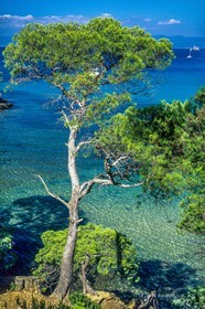 Porquerolles