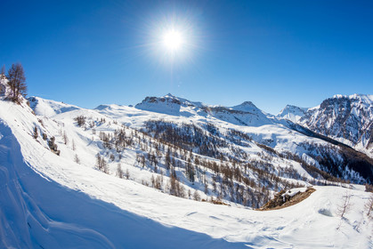 Auron