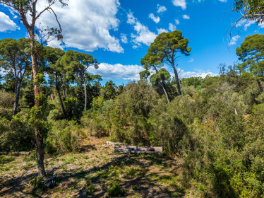 Lérins Sainte-Marguerite 2024