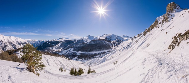 Auron