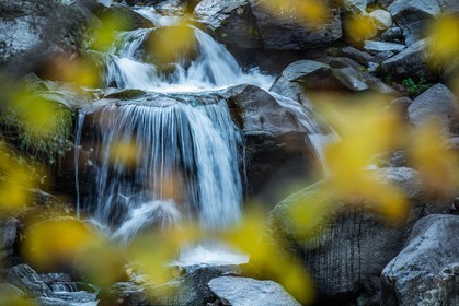 Automne