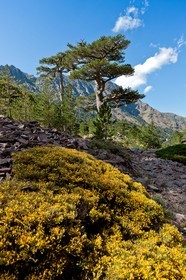 Monte Cinto