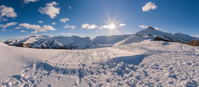 Auron
