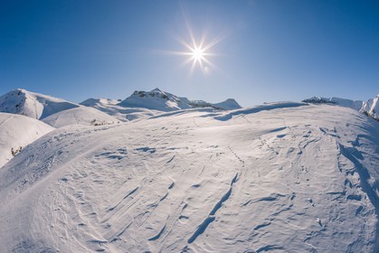 Auron