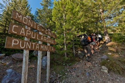 Monte Cinto