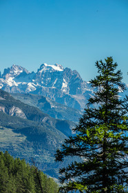 Barre des Ecrins