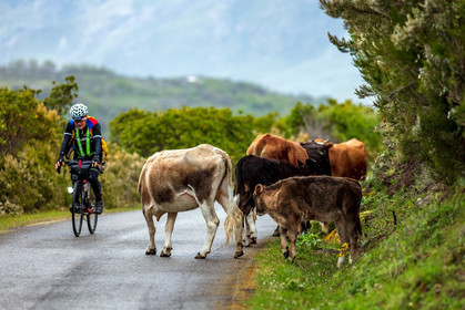 Col de Bigorno