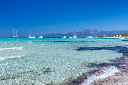 Saleccia