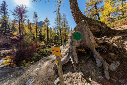 Col de la Moutière