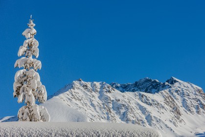 Auron
