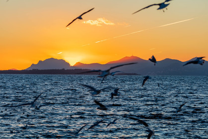 Cap d'Antibes