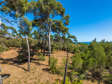 Lérins Sainte-Marguerite 2024