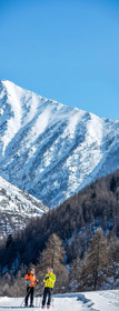 Ski de fond