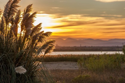 Canet-en-Roussillon