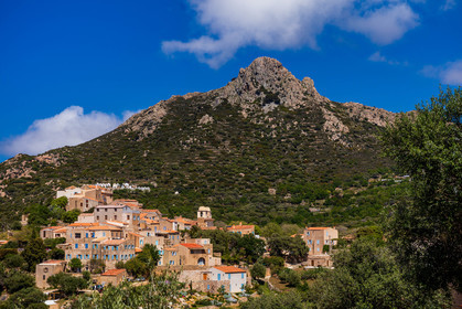 Pigna