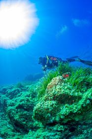 Plongée-sous-marine