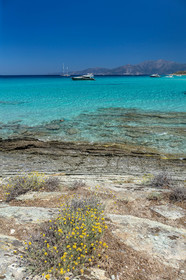 Saleccia