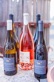 Domaine d'Alzipratu