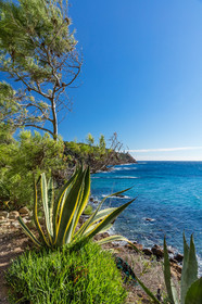 Saint-Mandrier-sur-Mer