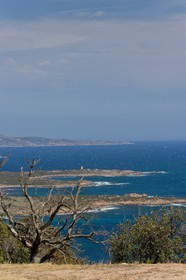 Tour d'Olmeto