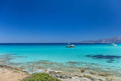 Saleccia