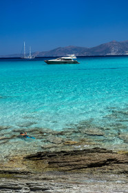 Saleccia