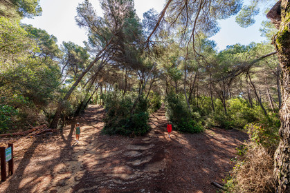 Lérins Sainte-Marguerite