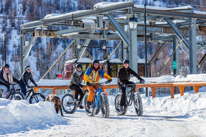 Fat Bike
