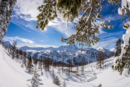 Isola 2000