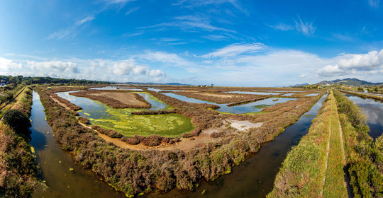 Salins d'Hyères