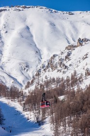Auron