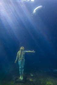 Seaquarium
