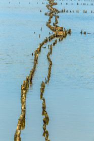 Salins d'Hyères