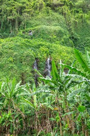 Ile de La Réunion
