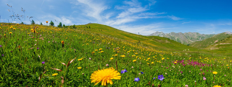 Col d'Allos