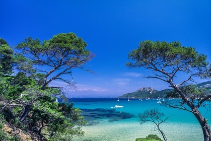 Porquerolles