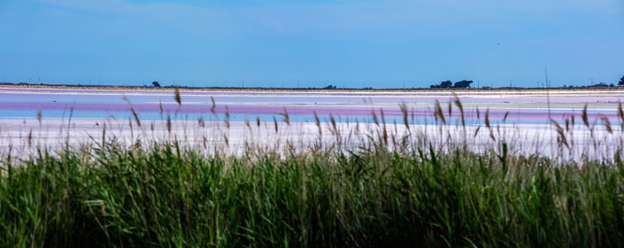 Aigues-Mortes