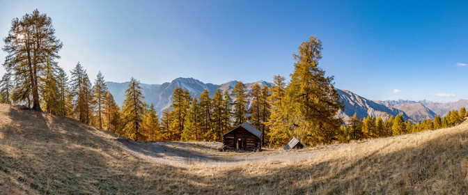 Auron