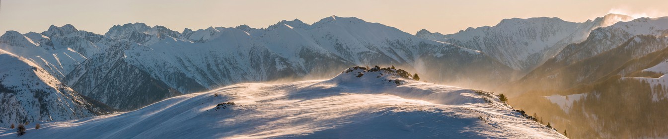 Auron