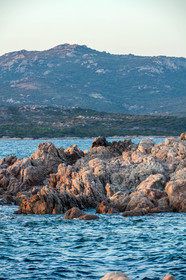 Tonnara
