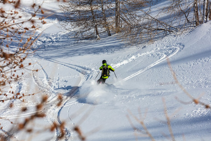 Freeride
