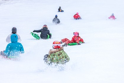 Luge