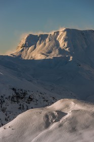 Auron